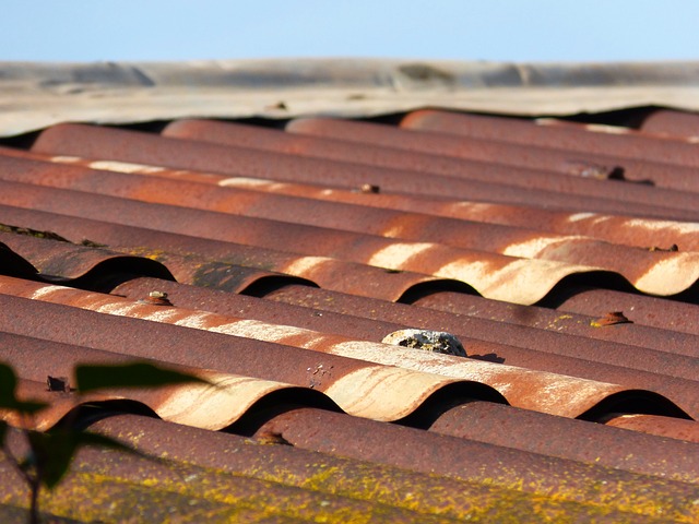 屋顶 乌拉石 铁皮屋顶 - 上的免费照片
