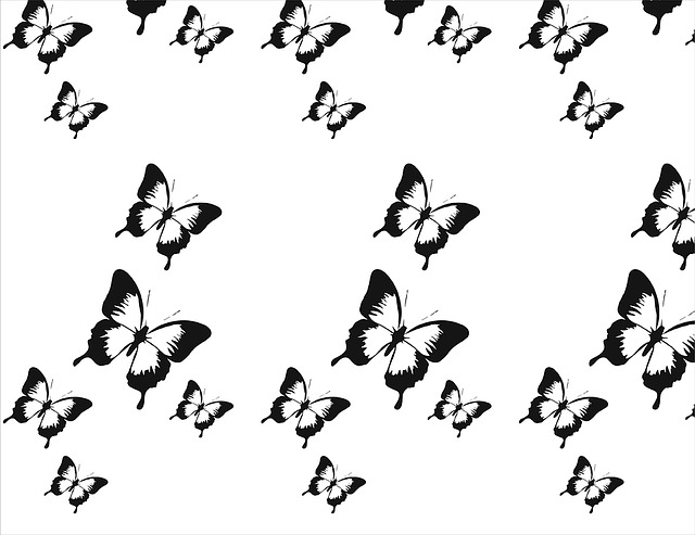 黑色和白色 母题 昆虫 - 上的免费图片