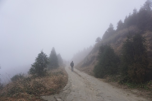 雾 背影 小路 - 上的免费照片