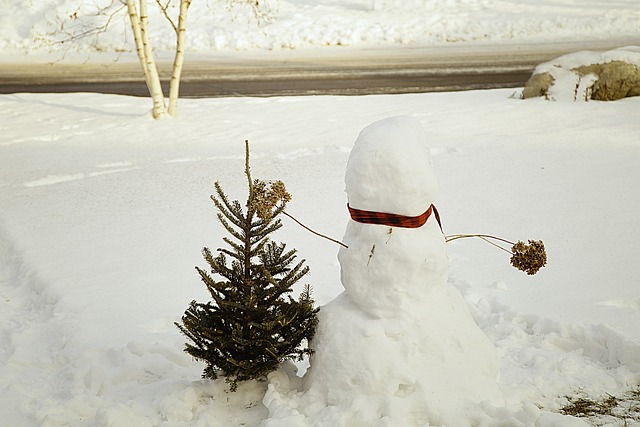 雪人 雪 白色的 - 上的免费照片