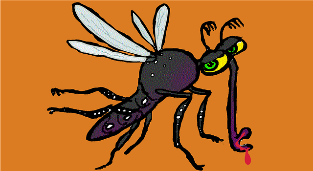 登革热 寨卡病毒 蚊子 - 上的免费图片