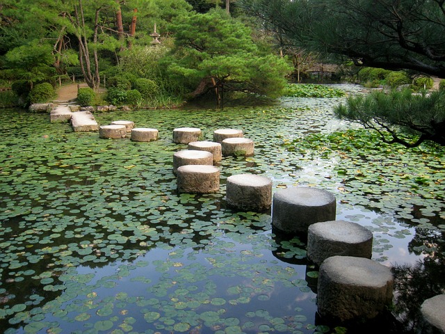 日本庭园 京都 日本 - 上的免费照片