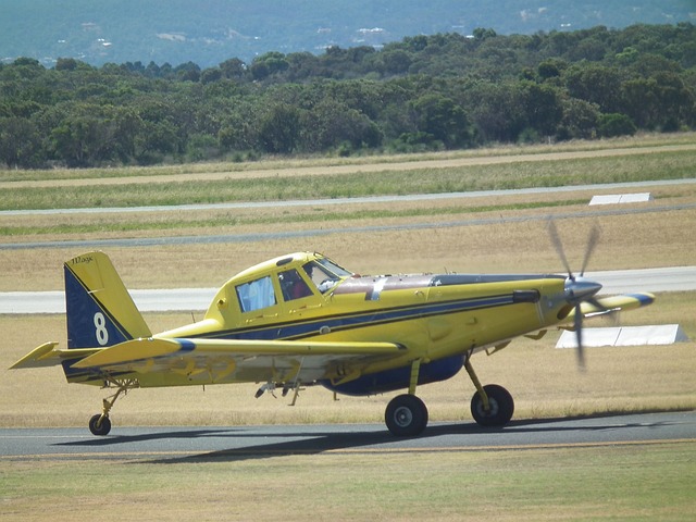 吹笛者 Pa-28-161 水上轰炸机 - 上的免费照片