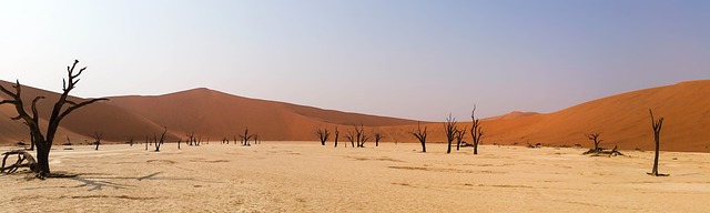 非洲 纳米比亚 景观 - 上的免费照片