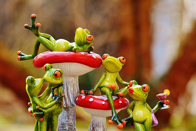 青蛙 蘑菇 人物 - 上的免费照片