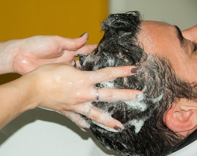 美发师 洗发水 理发 - 上的免费照片