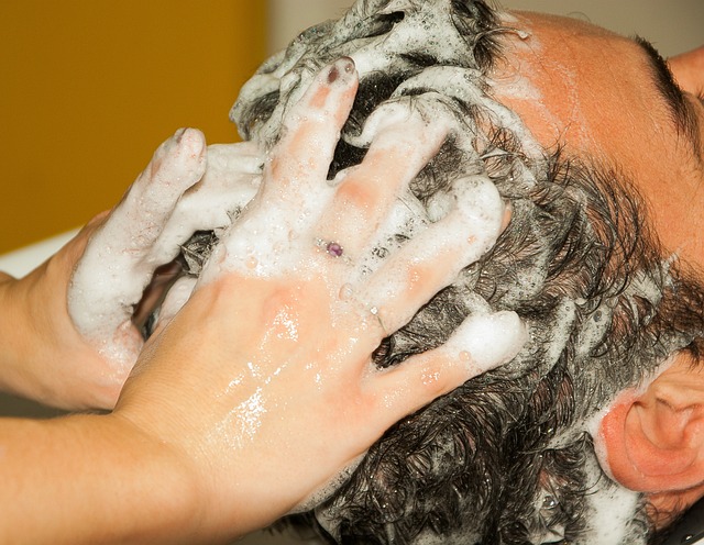 美发师 洗发水 按摩 - 上的免费照片