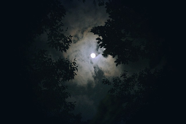 月亮 云 夜景 - 上的免费照片