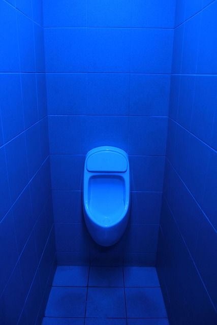 男厕所 蓝油 背景 - 上的免费照片