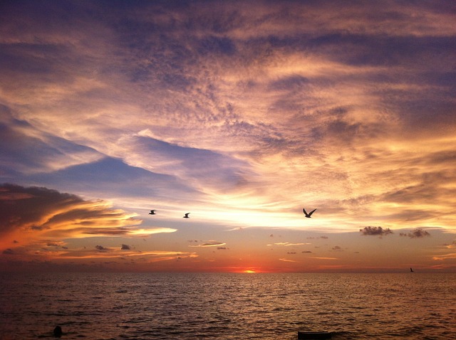 节拍器 海滩 切洛 - 上的免费照片