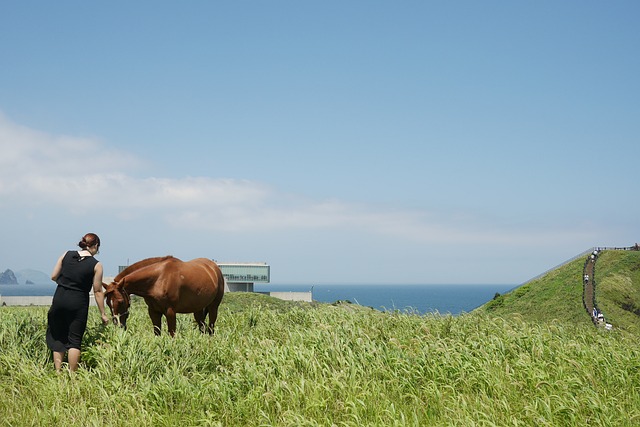 济州岛 景观 海洋 - 上的免费照片