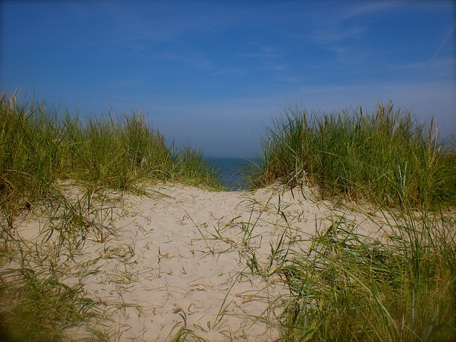 海 沙丘 沙丘草 - 上的免费照片