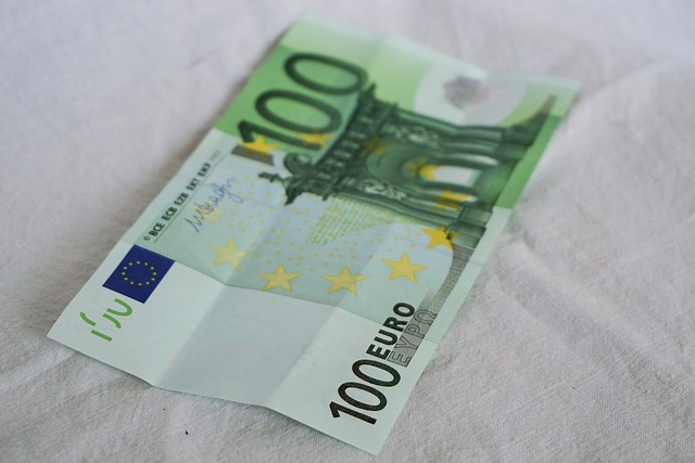欧元 100 纸币 - 上的免费照片