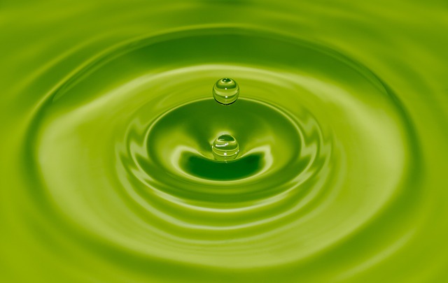水 降低 绿色 - 上的免费照片