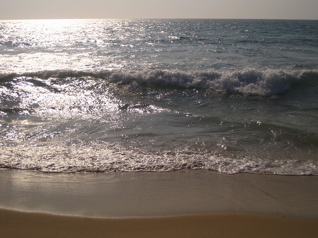海 海滩 波 - 上的免费照片