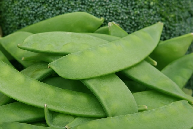 豆类 食物 新鲜的 - 上的免费照片