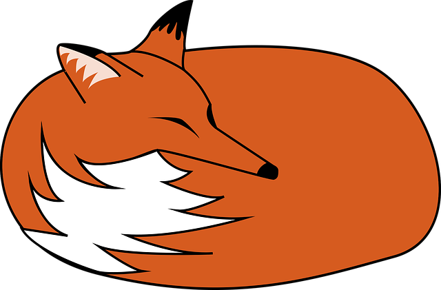 狐狸 睡 卷起来 - 免费矢量图形