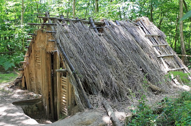 荆棘和涂抹旧 建成 平房 - 上的免费照片