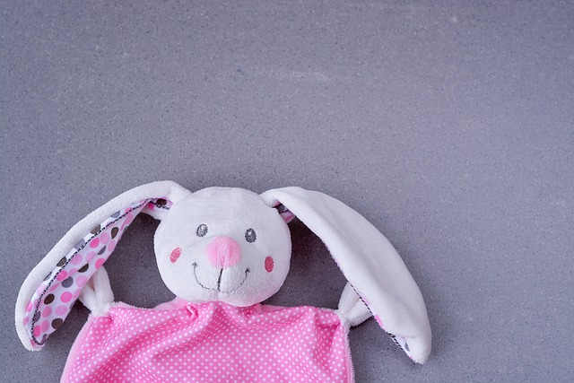 兔子 毛绒兔子 搂抱布 - 上的免费照片
