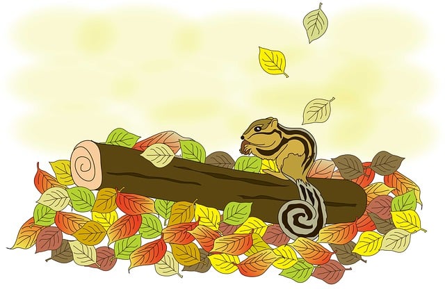 松鼠 秋天 落叶 - 上的免费图片