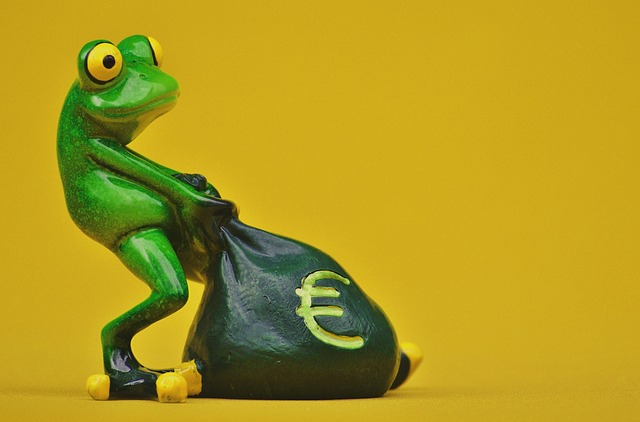 青蛙 钱 欧元 - 上的免费照片