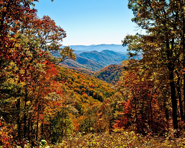 户外 公园 景观 - 上的免费照片