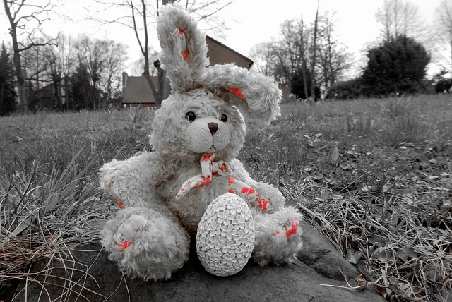 兔子 填充玩具动物 材料 - 上的免费照片