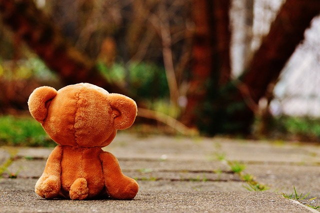 熊 泰迪熊 孤独 - 上的免费照片