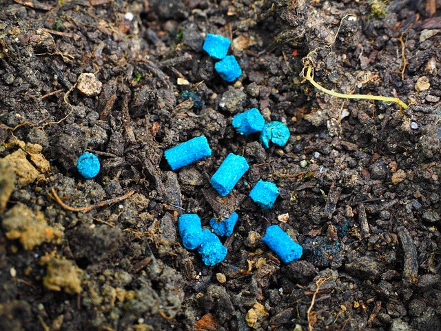 蜗牛毒 花斑 蓝色的 - 上的免费照片