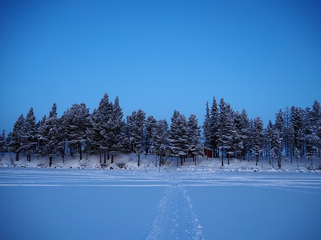 冬天 冰 雪 - 上的免费照片