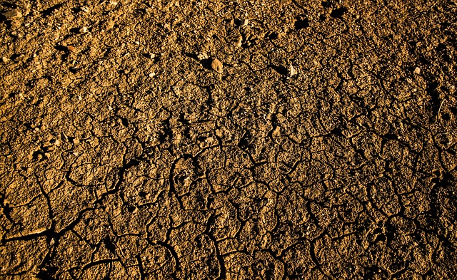 质地 地球 沙 - 上的免费照片