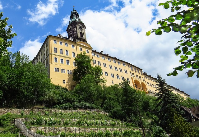 城堡 Heidecksburg Rudolstadt - 上的免费照片