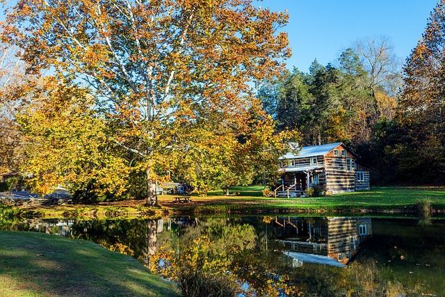 小木屋 西弗吉尼亚州 池塘 - 上的免费照片