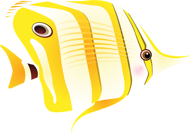 蝴蝶鱼 鱼 热带鱼 - 免费矢量图形