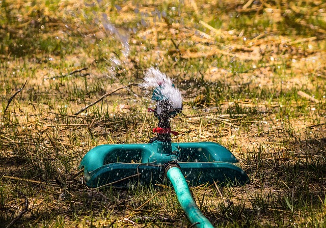 草坪洒水器 冲击喷头 草坪维护 - 上的免费照片