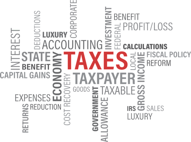 税 税收 政府 - 免费矢量图形