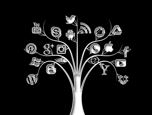 社交媒体 树 结构体 - 上的免费图片