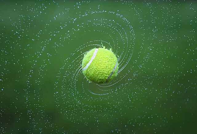 网球 转 球 - 上的免费照片