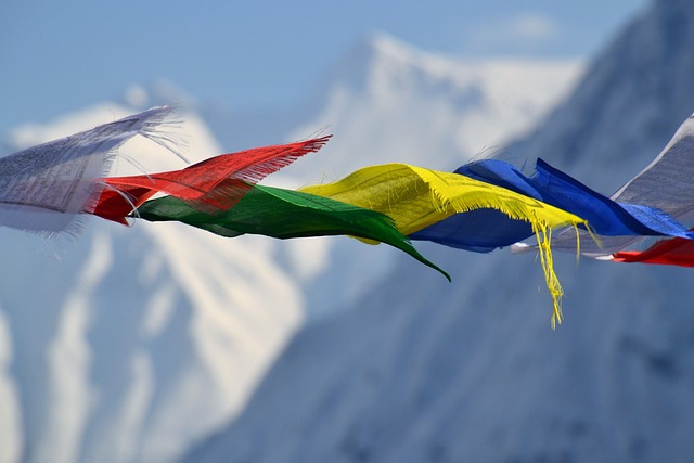 藏族的祷告旗 旗帜 染 - 上的免费照片