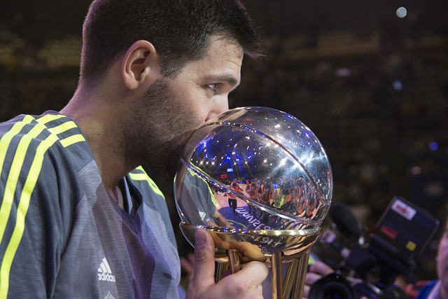 篮球 皇家马德里 冠军 - 上的免费照片