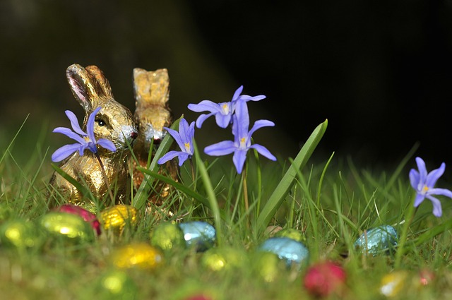 复活节 兔子 复活节彩蛋 - 上的免费照片