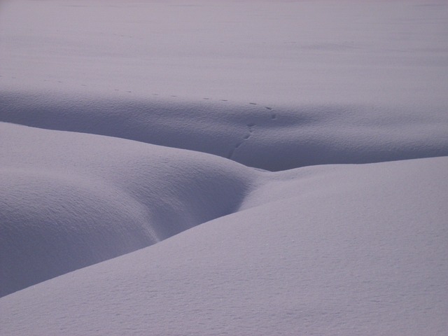 雪 地形 雪景 - 上的免费照片