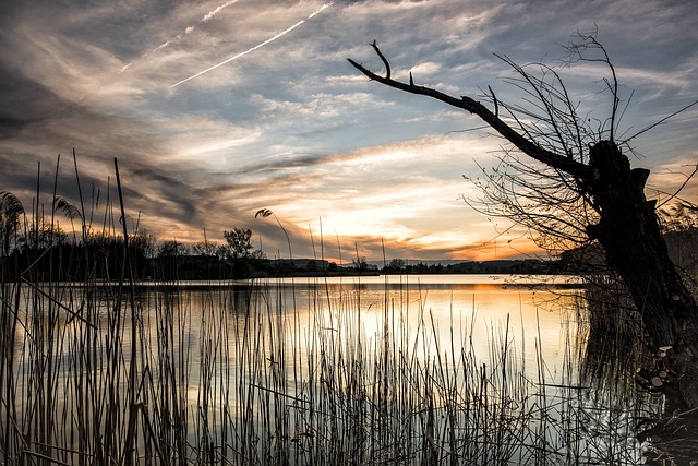 湖 草 日落 - 上的免费照片