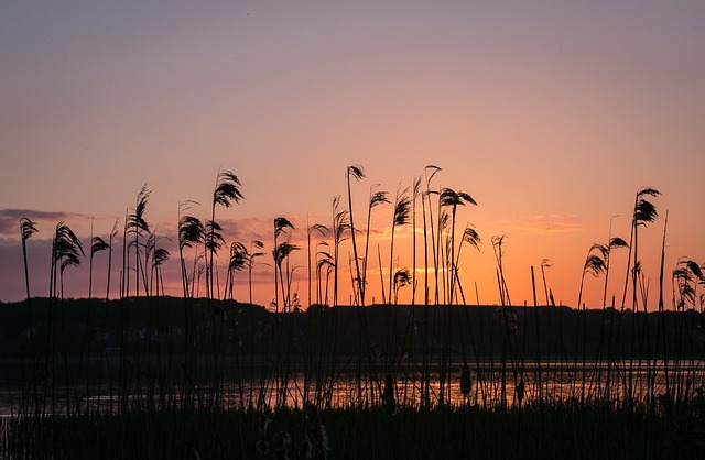 日落 湖 自然 - 上的免费照片