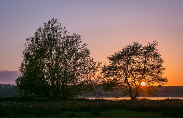 树木 日落 湖 - 上的免费照片
