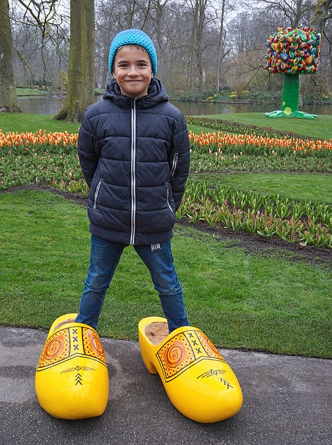 男孩 木鞋 荷兰 - 上的免费照片
