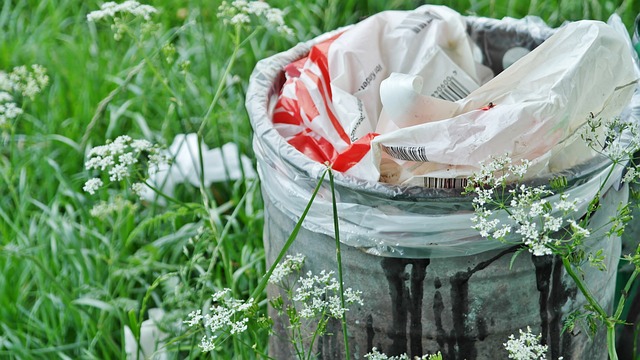 垃圾桶 浪费 废物分类回收箱 - 上的免费照片