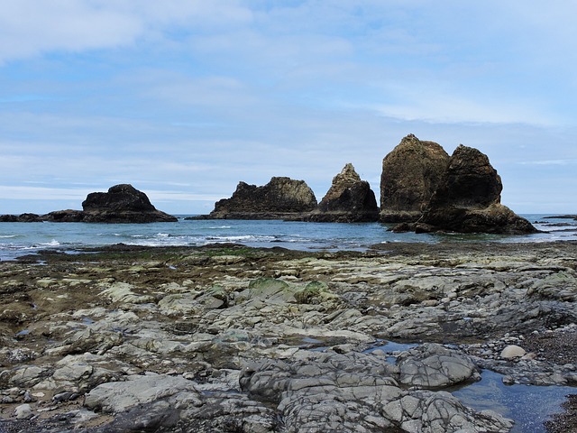 海岸 俄勒冈海岸 海洋 - 上的免费照片