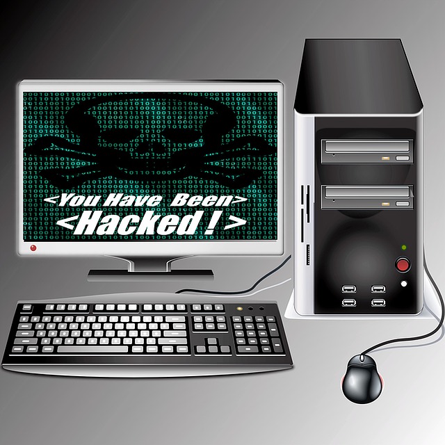 计算机 病毒 黑客 - 上的免费图片
