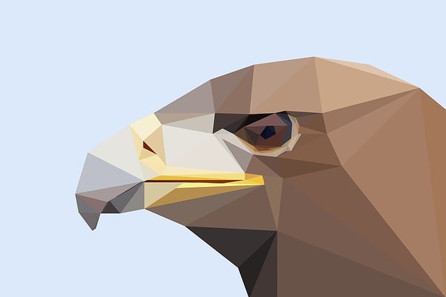 鹰 鸟 低聚 - 上的免费图片